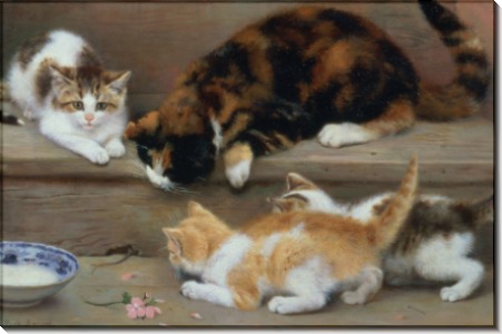 Кошка и котята преследуют мышь - Джеймсон, Роза
