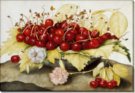 Картина «Тарелка с вишнями» - Гарцони, Джованна