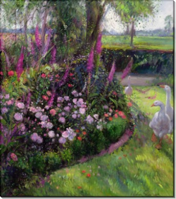 1901=Истон Тимоти=Розы и гуси=птицы пейзаж цветы - Истон, Тимоти