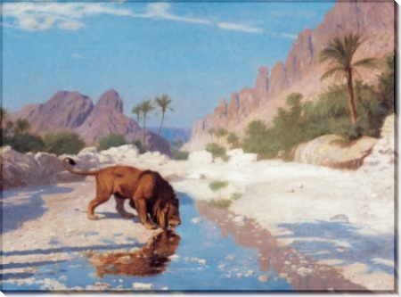 Лев в пустыне - Жером, Жан-Леон 
