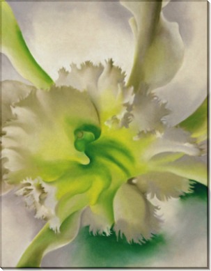 Картина Орхидея - О'Кифф, Джорджия