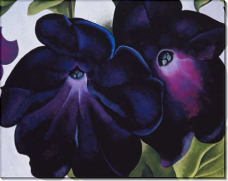 Черная с фиолетовым петуния - О'Кифф, Джорджия