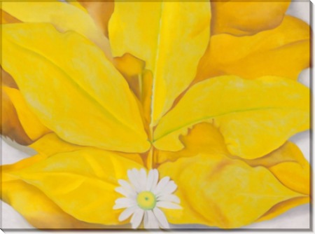 Желтые листья гикори с ромашкой - О'Кифф, Джорджия