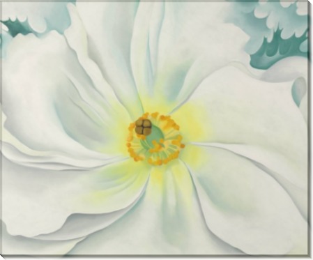 Белый цветок - О'Кифф, Джорджия