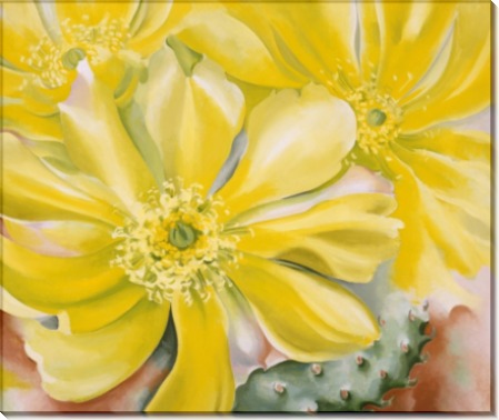 Желтый цветок кактуса - О'Кифф, Джорджия