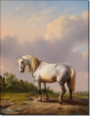 Серая лошадь на фоне пейзажа - Вербукховен, Эжен-Жозеф