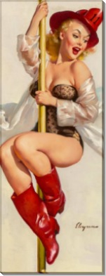 Прекрасная пожарница - Элвгрен, Джил