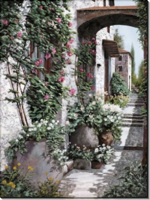 Плетистые розы - Борелли, Гвидо (20 век)