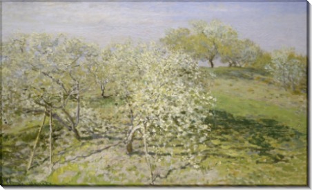 Весна, фруктовые деревья в цвету - Моне, Клод