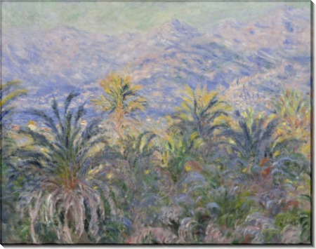 Картина «Пальмы в Бордигере» - Моне, Клод