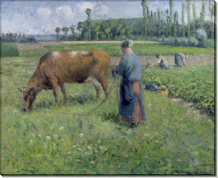 Женщина, пасущая корову - Писсарро, Камиль
