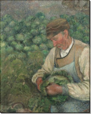 Садовник с капустой - Писсарро, Камиль