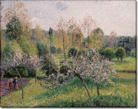 Яблони в цвету - Писсарро, Камиль