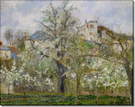 Весна, цветущие груши - Писсарро, Камиль