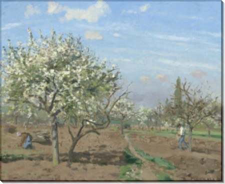 Фруктовый сад в цвету, Лувесьен - Писсарро, Камиль