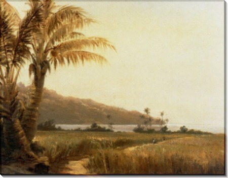 Картина «Пальмы у моря» - Писсарро, Камиль