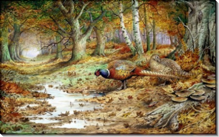 Два фазана и ложноопята - Доннер, Карл (20 век)
