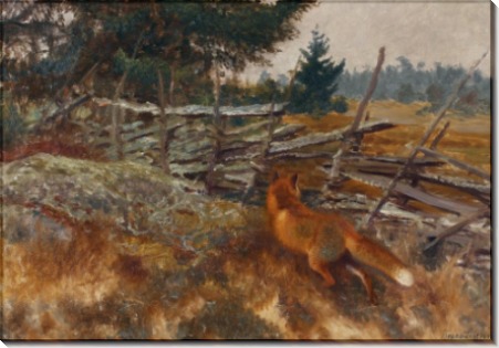 Рыжая лисица у изгороди - Лильефорс, Бруно