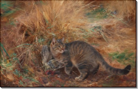 Кошка с дятлом - Лильефорс, Бруно