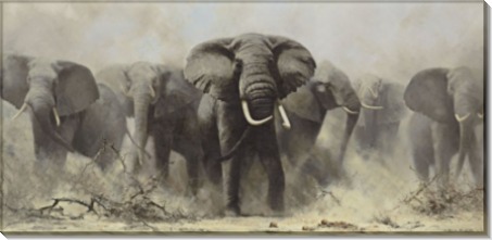 Стадо слонов - Шеперд, Девид (20 век)