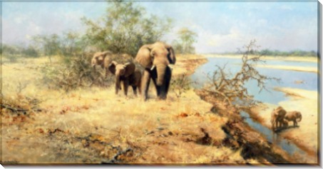 Слоны в кустах, долина Луангва - Шеперд, Девид (20 век)