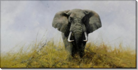 Слон в степи - Шеперд, Девид (20 век)
