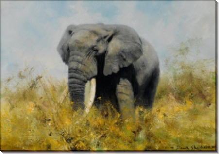Африканский слон - Шеперд, Девид (20 век)