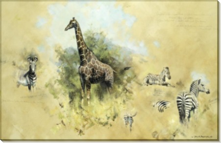 Зебры и жираф - Шеперд, Девид (20 век)