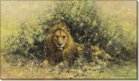 Лев в кустах - Шеперд, Девид (20 век)