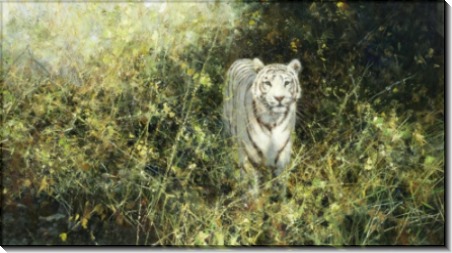 Белый тигр Ревы - Шеперд, Девид (20 век)
