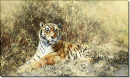 Тигр из Рантхамбора - Шеперд, Девид (20 век)