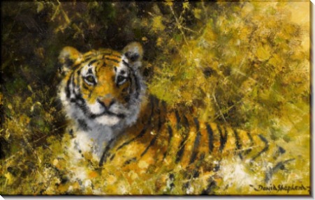 Тигр в тени - Шеперд, Девид (20 век)