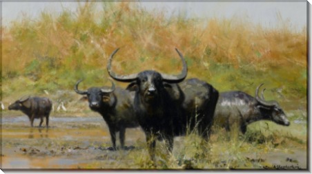 Азиатские буйволы - Шеперд, Девид (20 век)