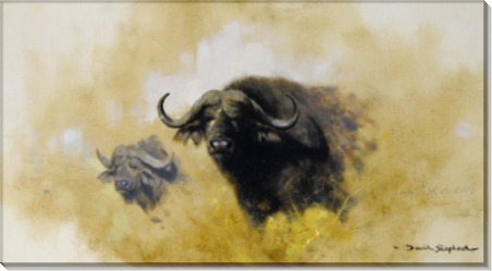 Азиатский буйвол - Шеперд, Девид (20 век)