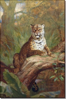 Леопард на дереве - Торберн, Арчибальд