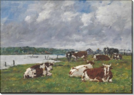Коровы на пастбище в долине Тук - Буден, Эжен