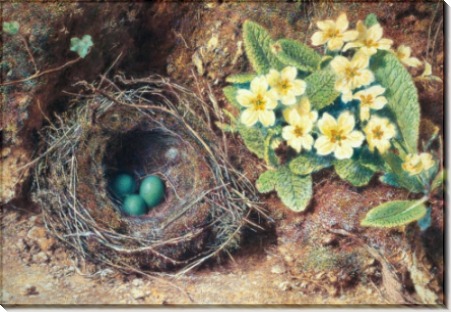 Первоцветы и птичье гнездо - Хант, Уильям Холман