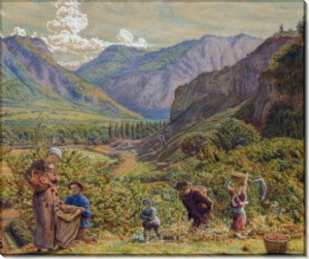 Сбор урожая яблок в долине Рейна - Хант, Уильям Холман