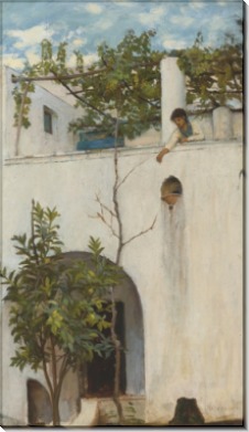 Женщина на балконе, Капри - Уотерхаус, Джон Уильям
