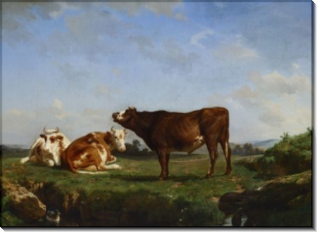 Три коровы на пастбище - Бонёр, Роза