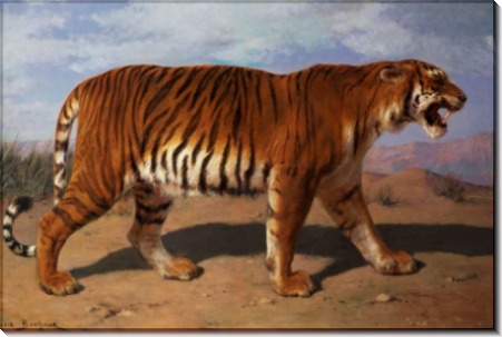 Преследующий тигр - Бонёр, Роза