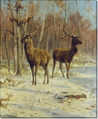 Два оленя на опушке зимнего леса - Бонёр, Роза