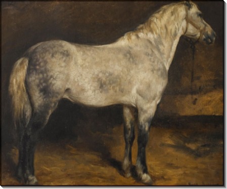 Пятнистая серая лошадь - Бонёр, Роза
