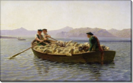 Лодка с овцами - Бонёр, Роза
