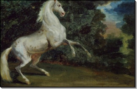 Гарцующий конь - Жерико, Теодор Жан Луи Андре