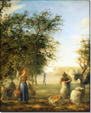 Сбор яблок - Милле, Жан-Франсуа 