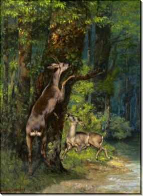 Лесной пейзаж с оленями - Курбе, Гюстав