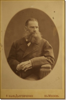 Лев Толстой. 1876