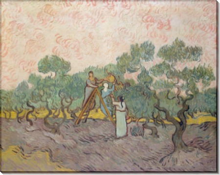 Сбор оливок, 1889 - Гог, Винсент ван