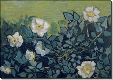 Дикие розы, 1890 - Гог, Винсент ван